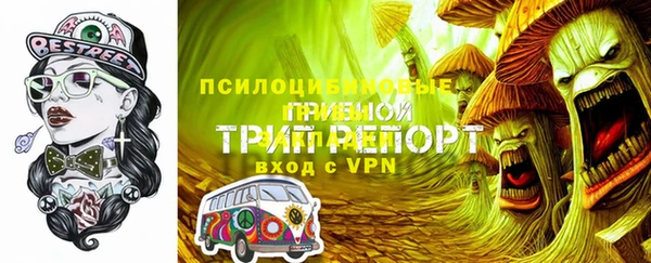 спиды Арсеньев