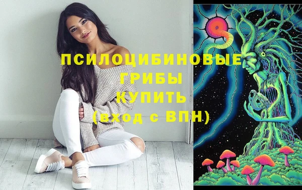 спиды Арсеньев